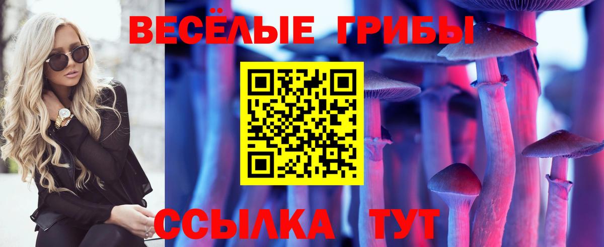 Галлюциногенные грибы MAGIC MUSHROOMS Зима