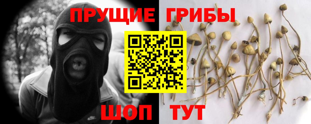 Зима  Галлюциногенные грибы прущие грибы  Вход с VPN  Галлюциногенные грибы GOLDEN TEACHER 
